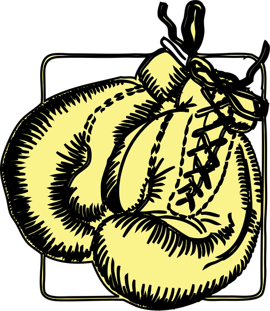 boxing bag gloves