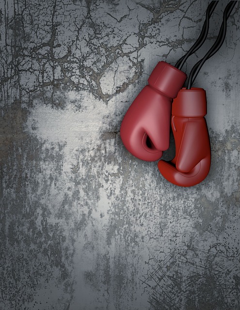 boxing bag gloves