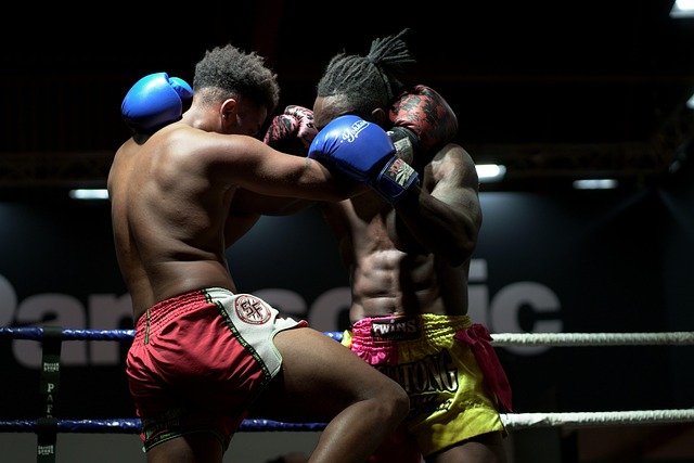 boxing bag gloves