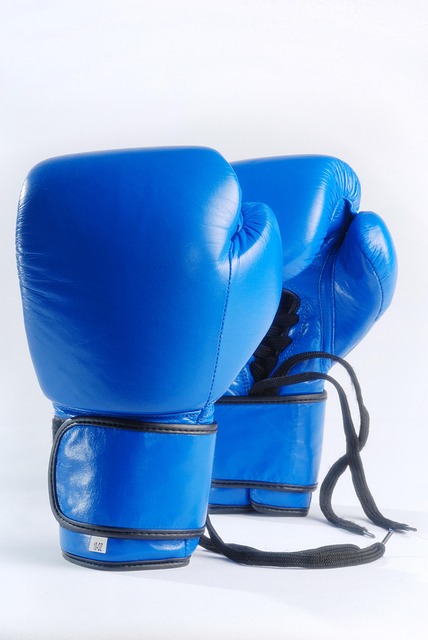 boxing bag gloves