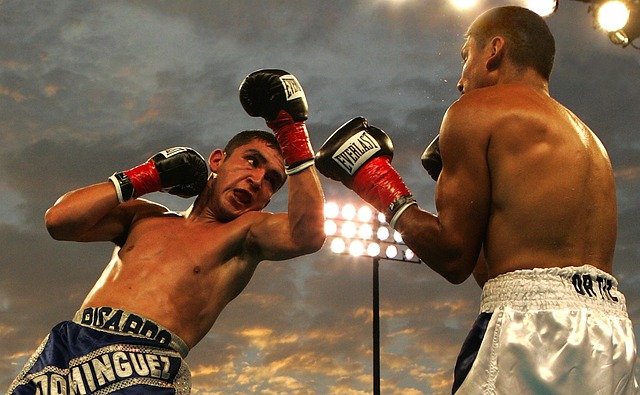 boxing bag gloves