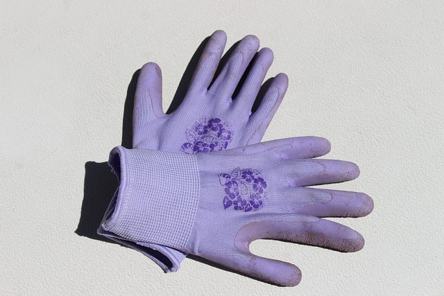 boxing bag gloves