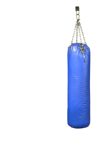 boxing bag gloves