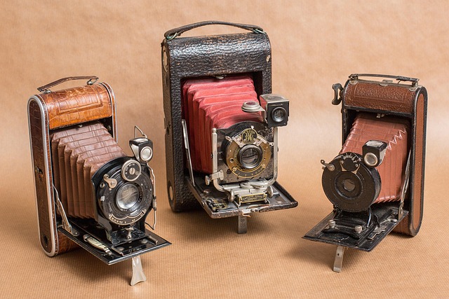 collectible dolls