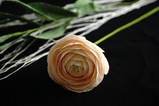 crepe-pans-640x480-5673466.jpeg