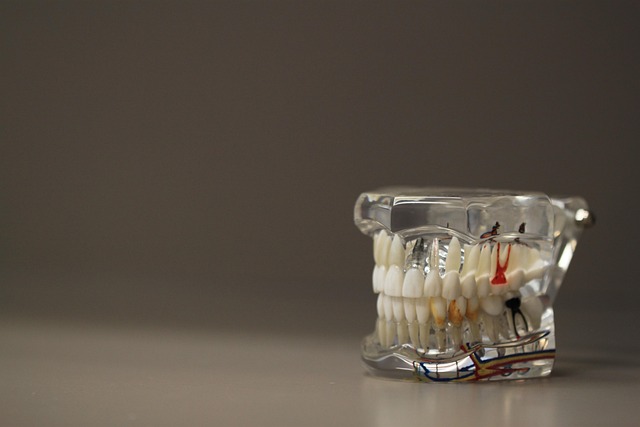 dental burs
