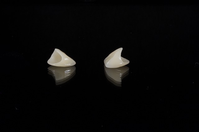 dental burs