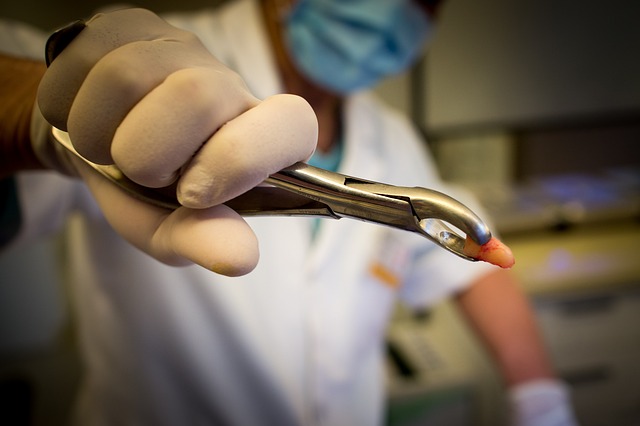 dental burs