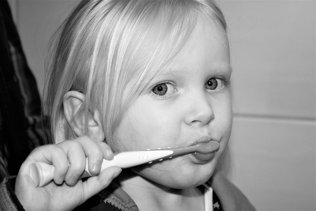 dental burs