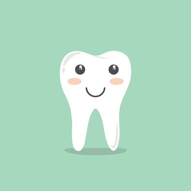 dental burs