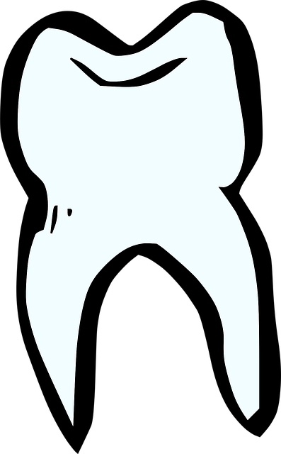 dental burs