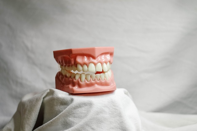 dental burs