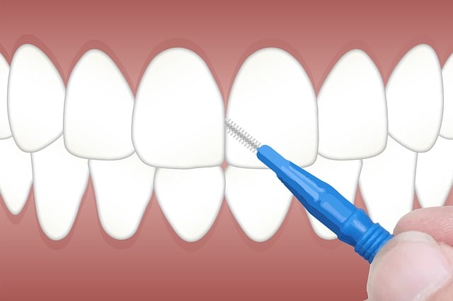 dental burs