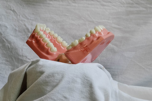 dental burs