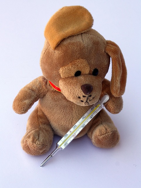 dog thermometers