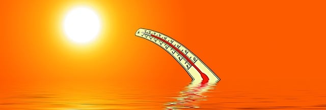 dog thermometers