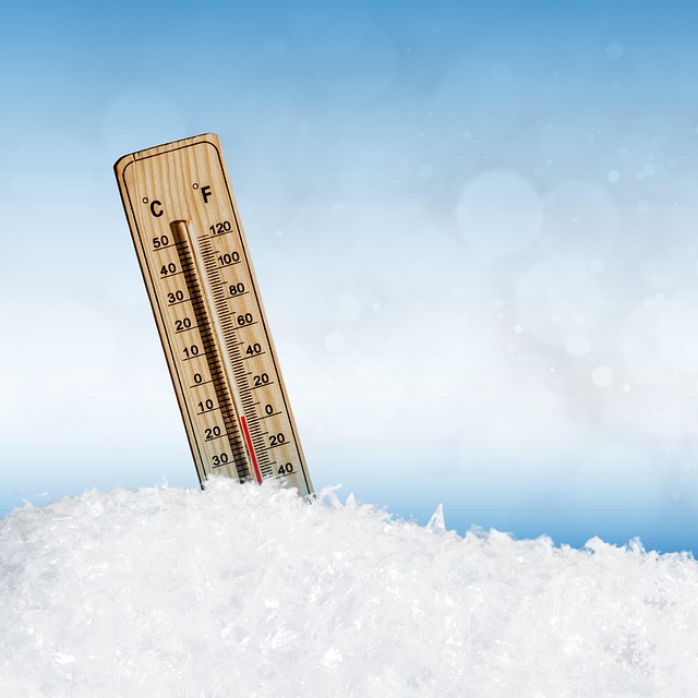 dog thermometers