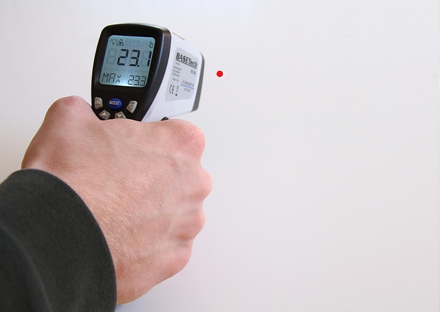 dog thermometers