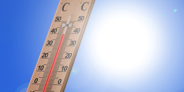 dog thermometers