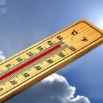 Sanitization Secrets: Thermometers to Pet Care Environments