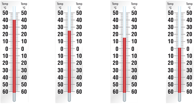 dog thermometers