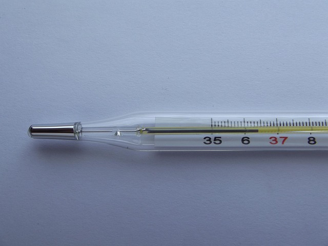 dog-thermometers-640x480-4736261.jpeg
