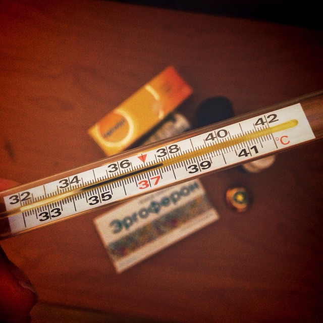 dog thermometers