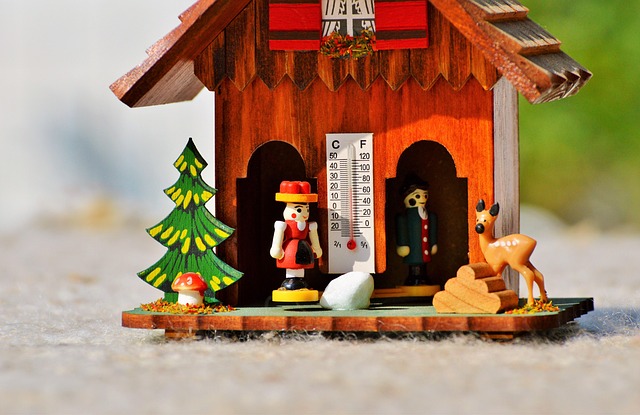 dog thermometers