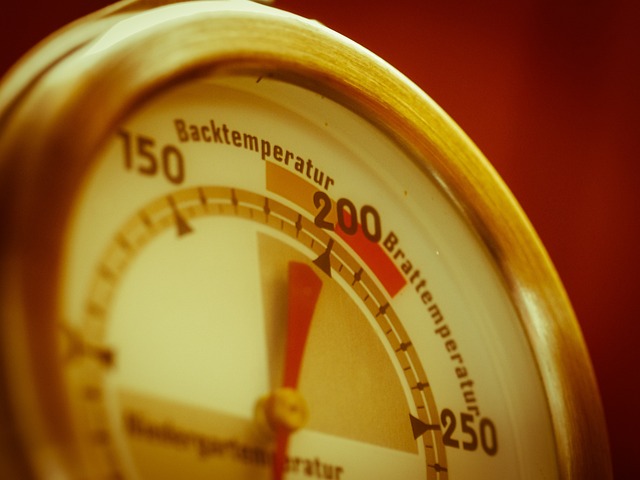 dog thermometers