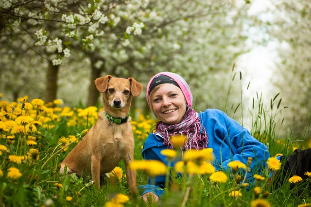 dog thermometers
