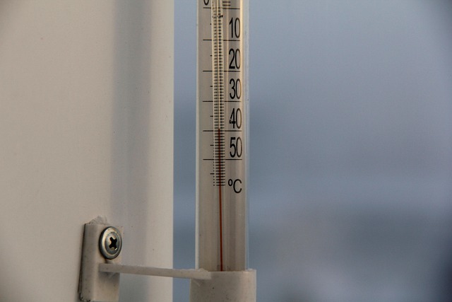 dog thermometers