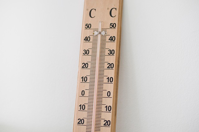 dog-thermometers-640x480-72951245.jpeg