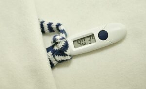 dog-thermometers-640x480-76723601.jpeg