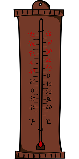 dog thermometers