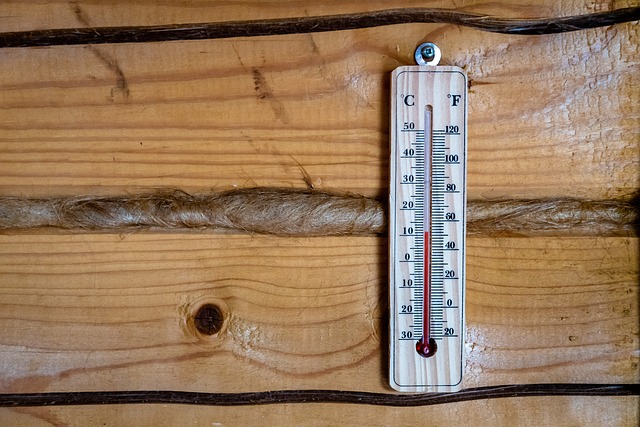 dog thermometers