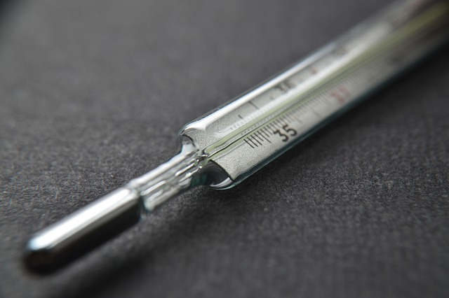 dog thermometers