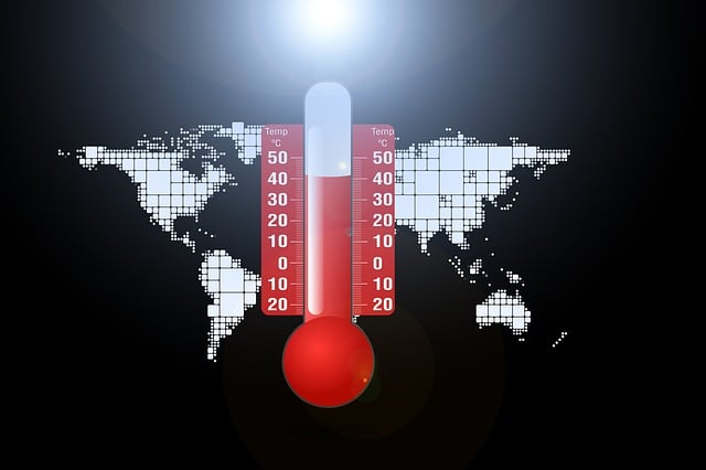 dog thermometers