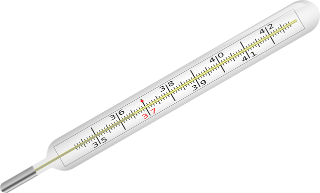 dog thermometers