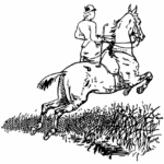 Mastering Equestrian Training: Gear, Tech, and Expertise