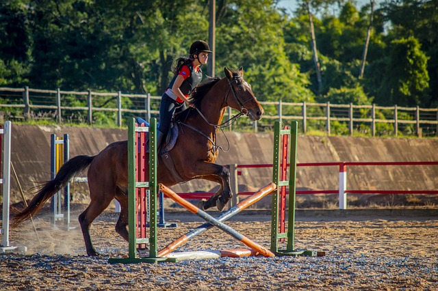 equestrian equipment