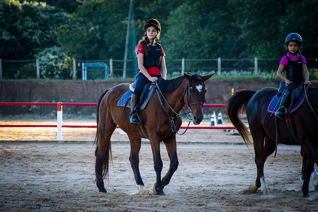 equestrian equipment