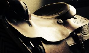 equestrian-equipment-640x480-27447921.jpeg