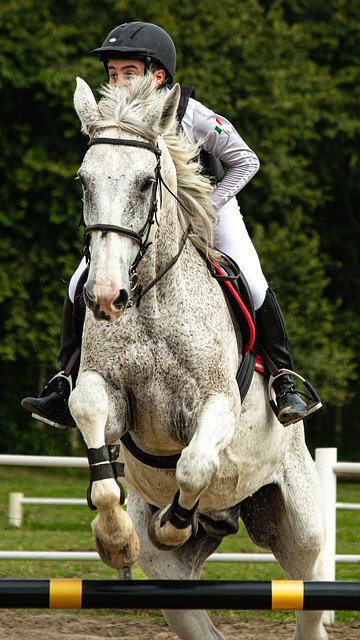 equestrian equipment