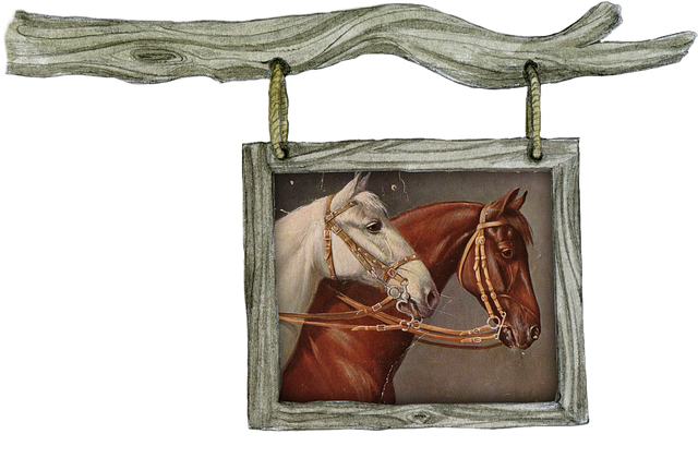 equestrian equipment
