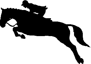 equestrian-equipment-640x480-4955725.png