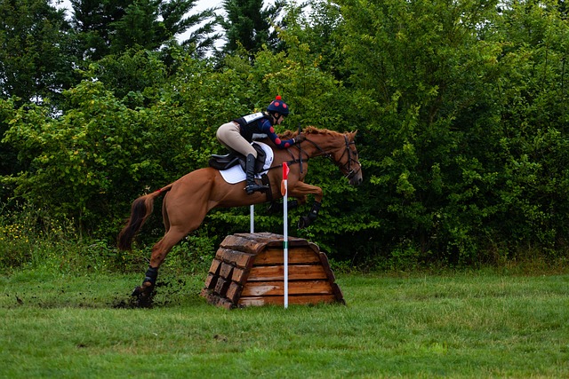equestrian equipment