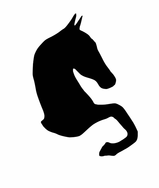 equestrian equipment
