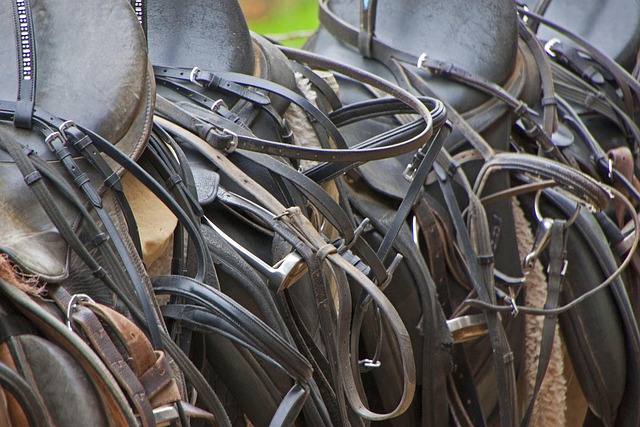 equestrian equipment