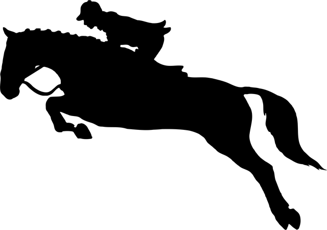 equestrian equipment