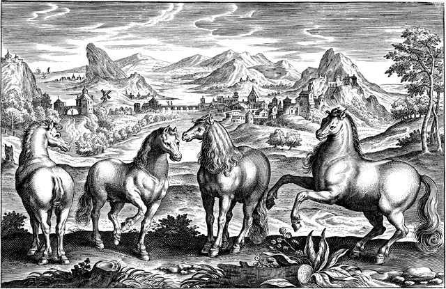 equestrian equipment